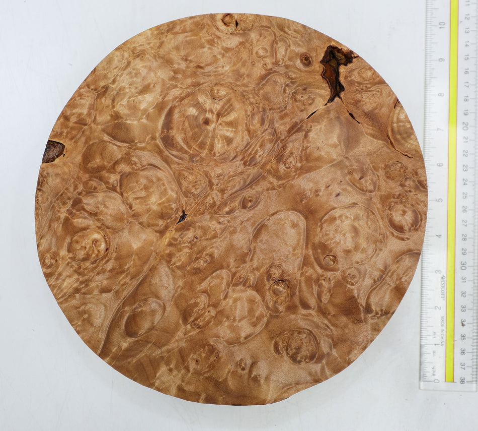Maple Burl Round 10" diameter x 2.5" (HIGH FIGURE) - Stock# 6-4394