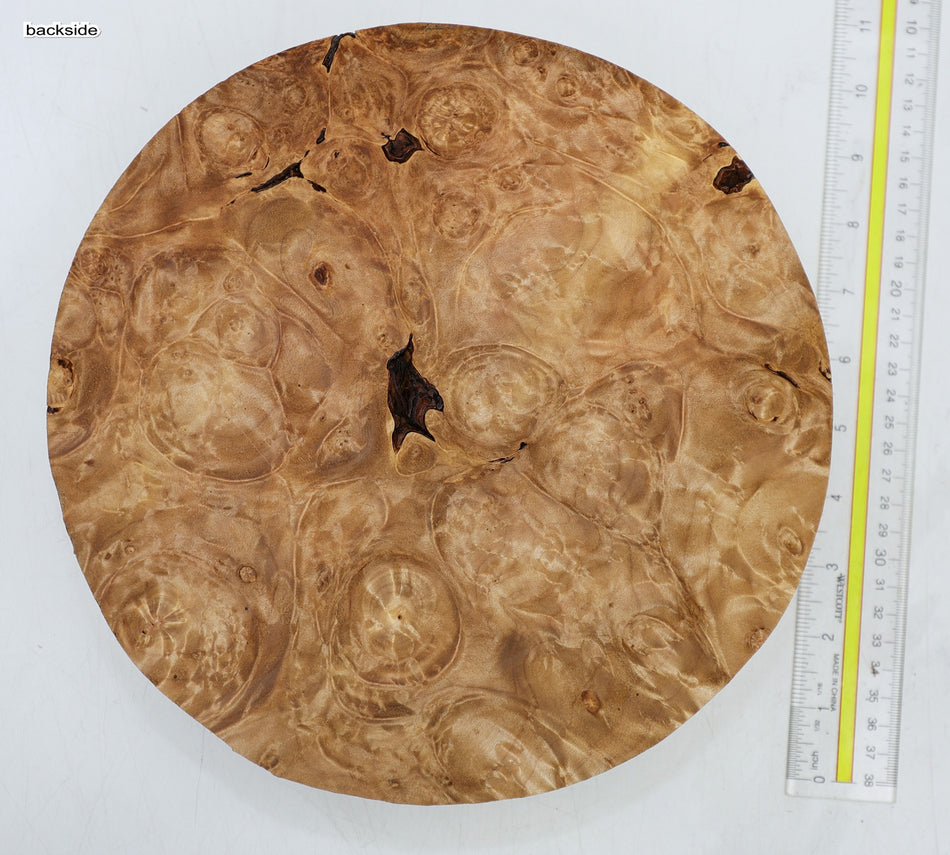 Maple Burl Round 10" diameter x 2.5" (HIGH FIGURE) - Stock# 6-4394