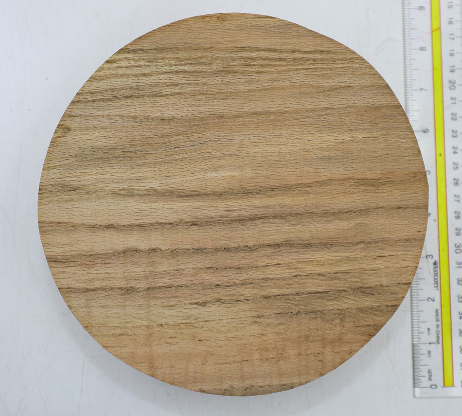 Oak Round 8" diameter x 2" - Stock# 6-4428