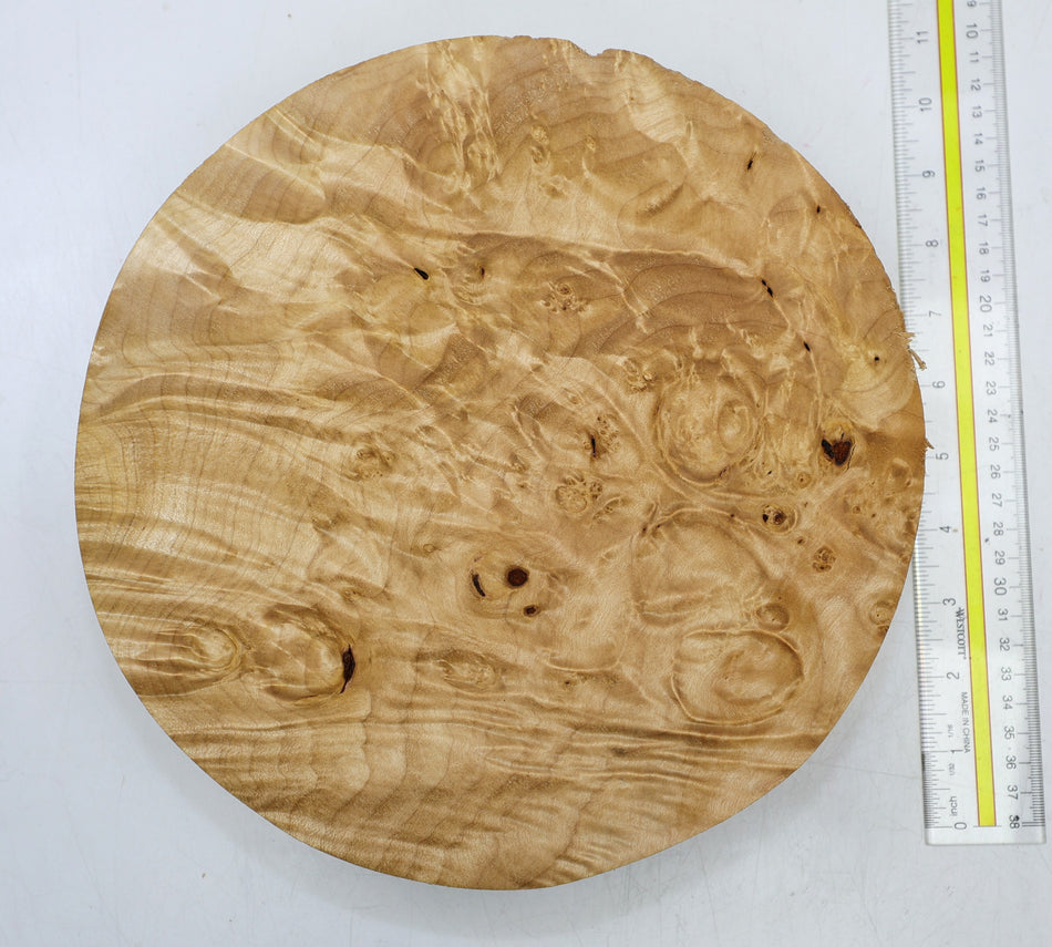 Maple Burl Round 10.5" diameter x 2.6" (GREAT FIGURE) - Stock# 6-4430