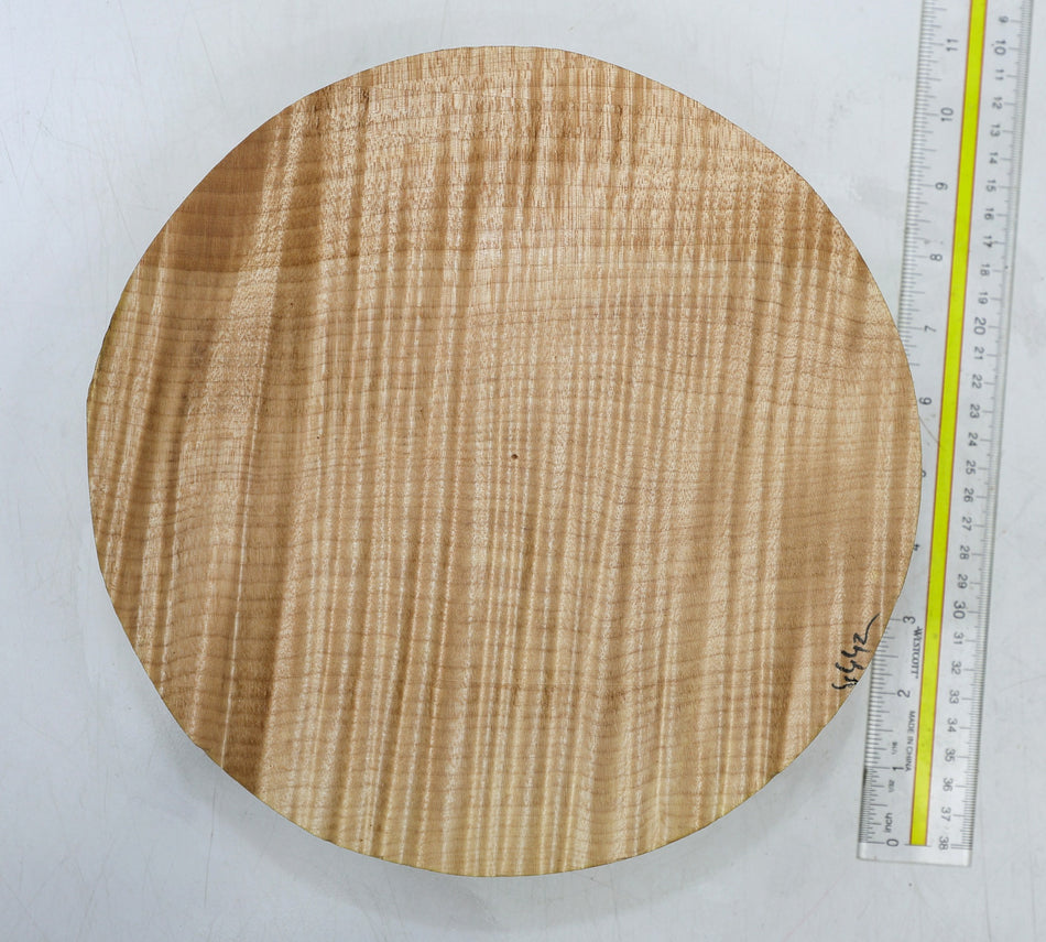 Maple Flame Round 9.5" diameter x 2.6" (HIGH FIGURE) - Stock# 6-4442