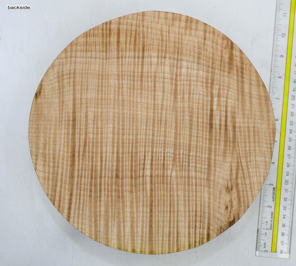 Maple Flame Round 9.5" diameter x 2.6" (HIGH FIGURE) - Stock# 6-4442