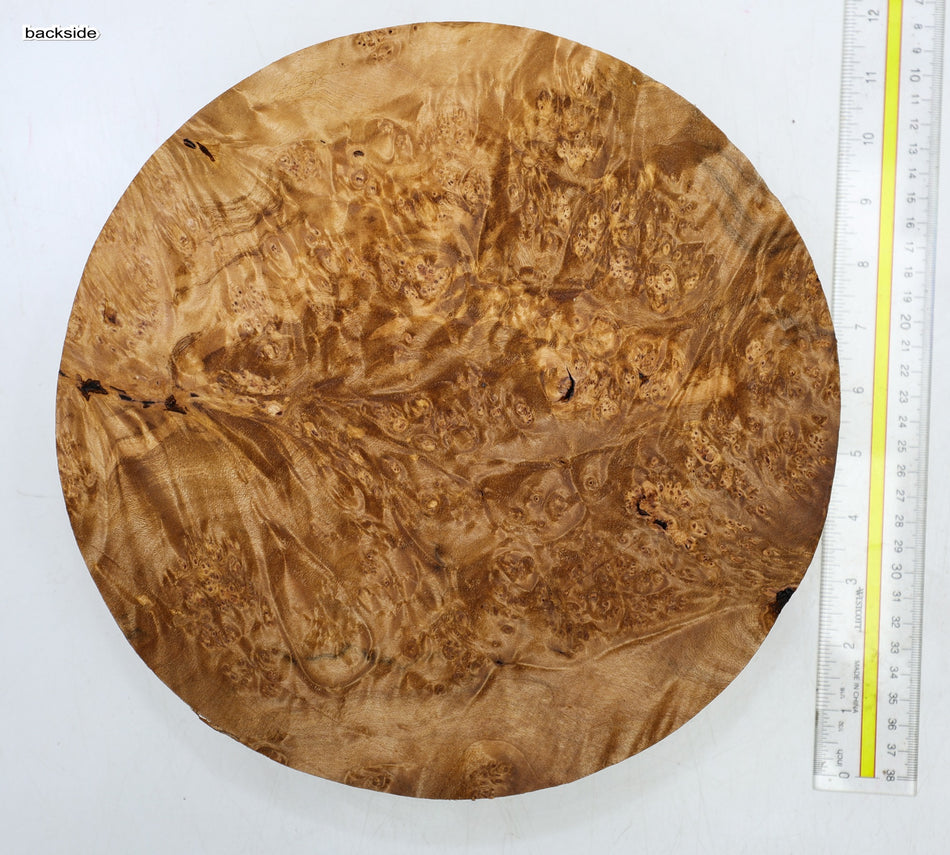 Maple Burl Round 11" diameter x 2.6" (HIGH FIGURE) - Stock# 6-4464