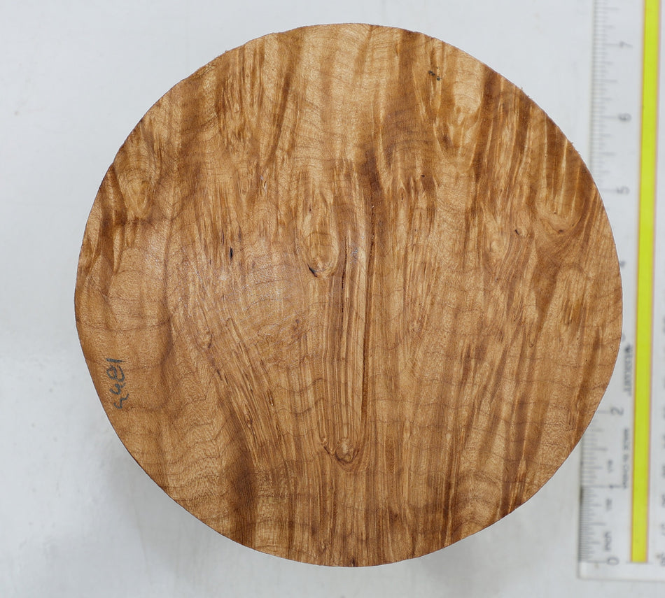 Maple Burl Round 6" diameter x 3" (HIGH FIGURE) - Stock# 6-4481