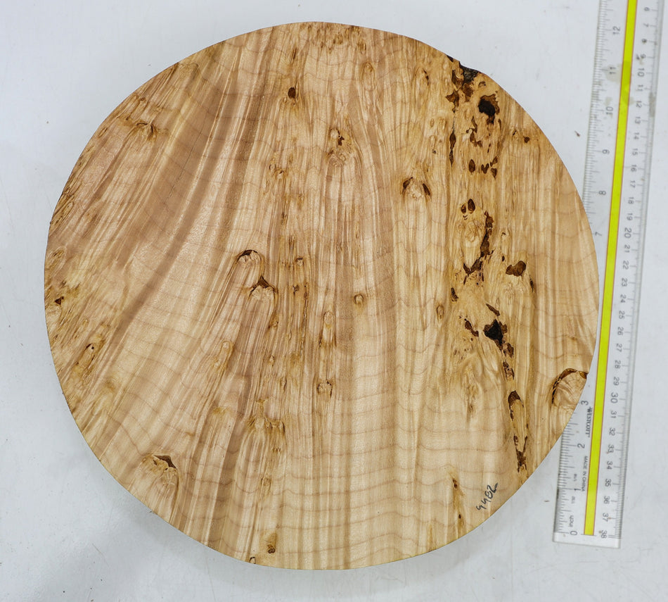Maple Burl Round 11" diameter x 2.6" - Stock# 6-4482