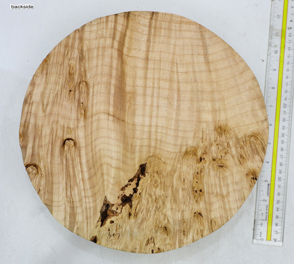Maple Burl Round 11" diameter x 2.6" - Stock# 6-4482