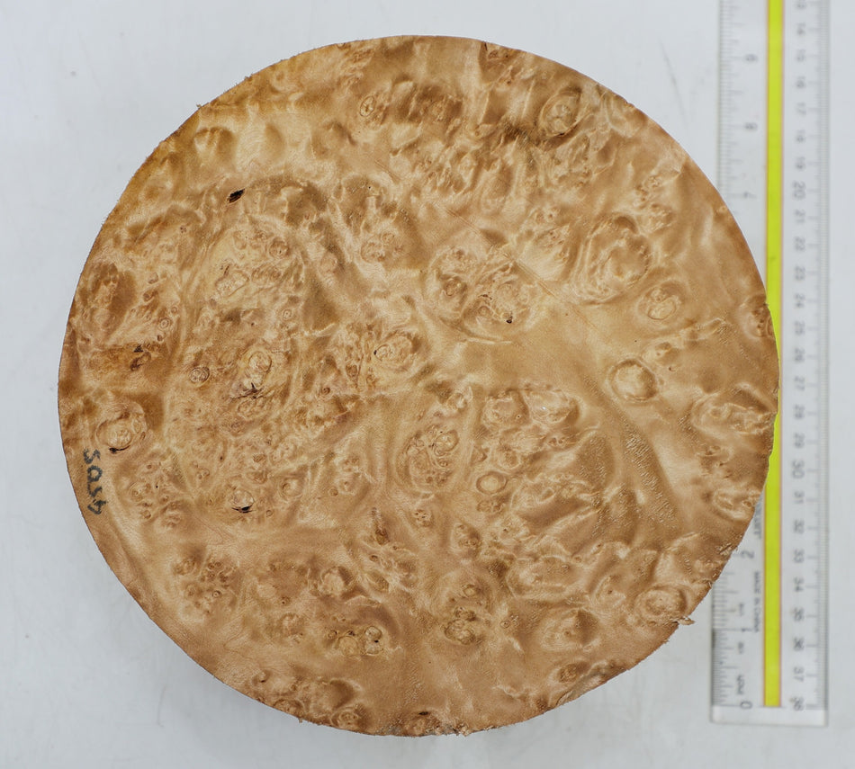Maple Burl Round 8" diameter x 3.5" (PREMIUM FIGURE) - Stock# 6-4505