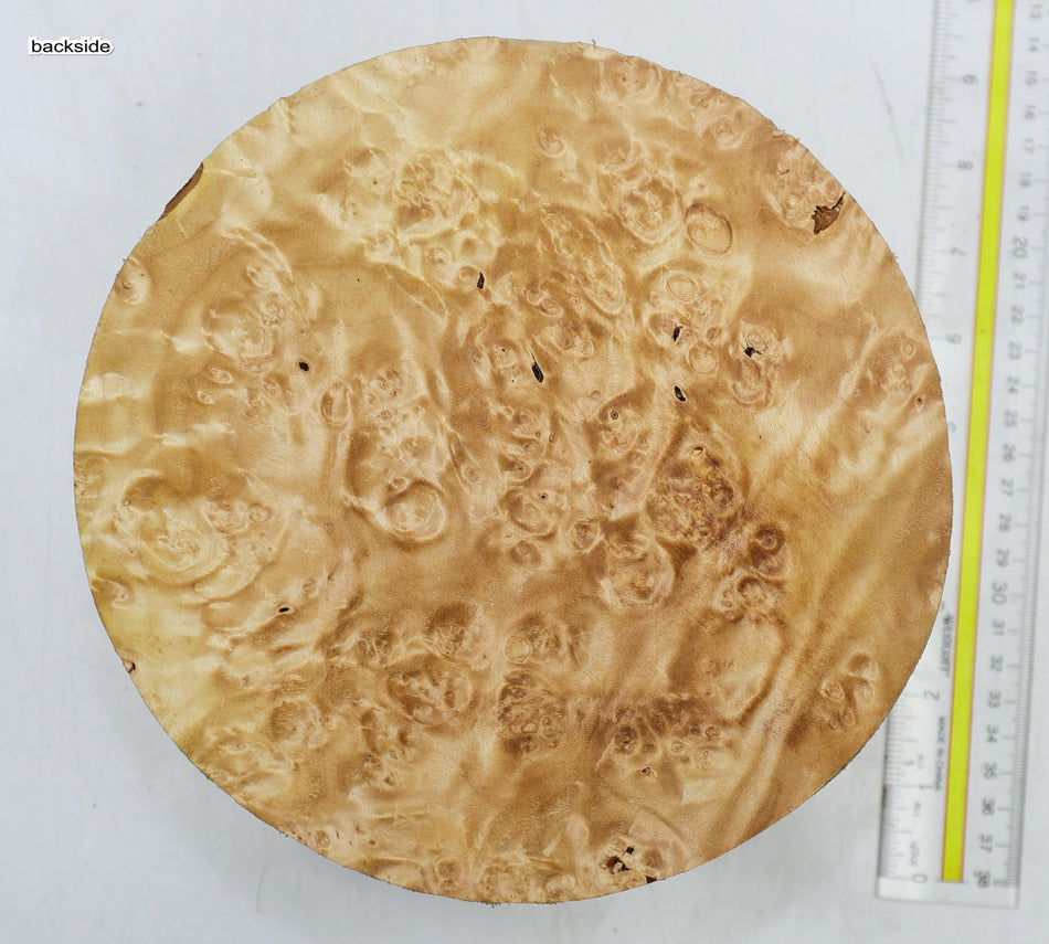Maple Burl Round 8" diameter x 3.5" (PREMIUM FIGURE) - Stock# 6-4505