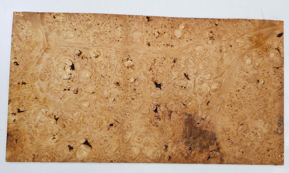 Maple Burl Pickguard, 0.23" x 7.2" x 13.5" (HIGH FIGURE) - Stock# 6-4508