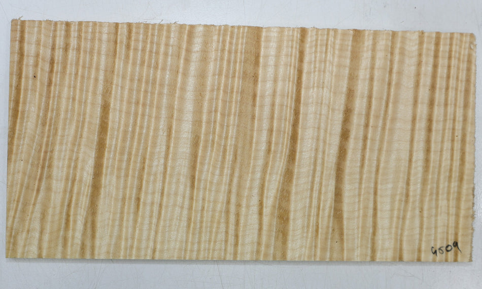 Maple Flame Headstock, 0.24" x 4.8" x 9.7" (PREMIUM FIGURE) - Stock# 6-4509