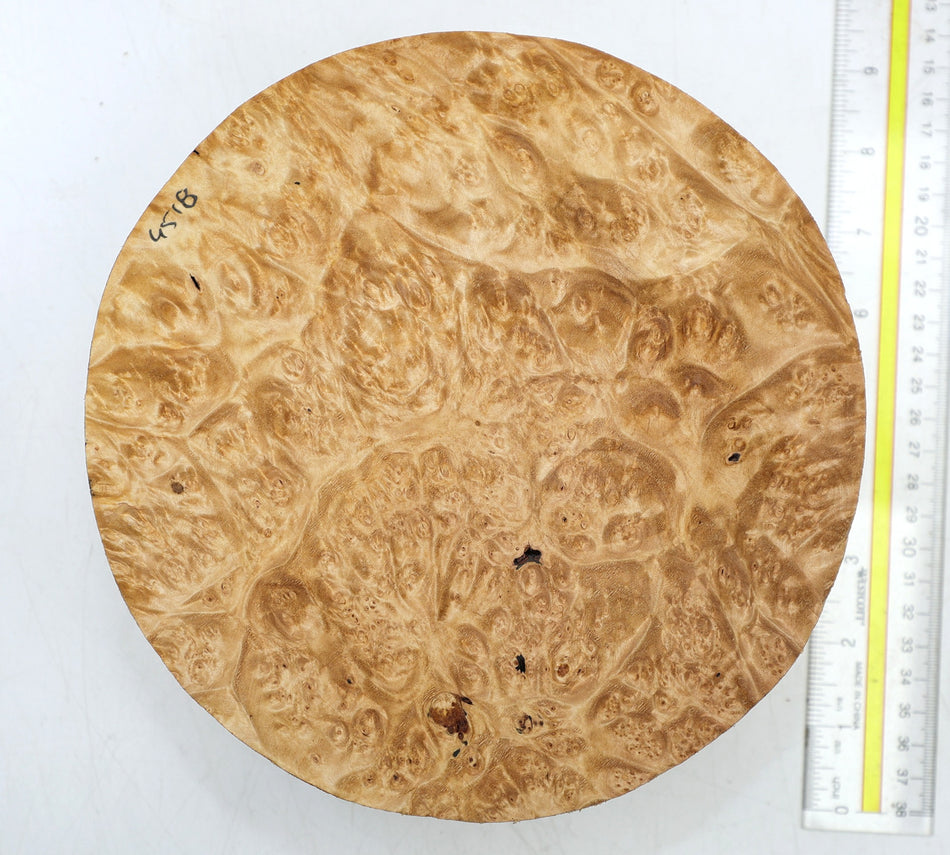 Maple Burl Round 8" diameter x 3.3" (PREMIUM FIGURE) - Stock# 6-4518