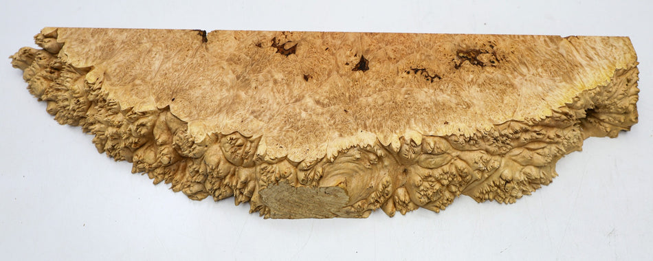 Maple Burl block 26" x 6.5" x 2.5" (HIGH FIGURE) - Stock# 6-4537
