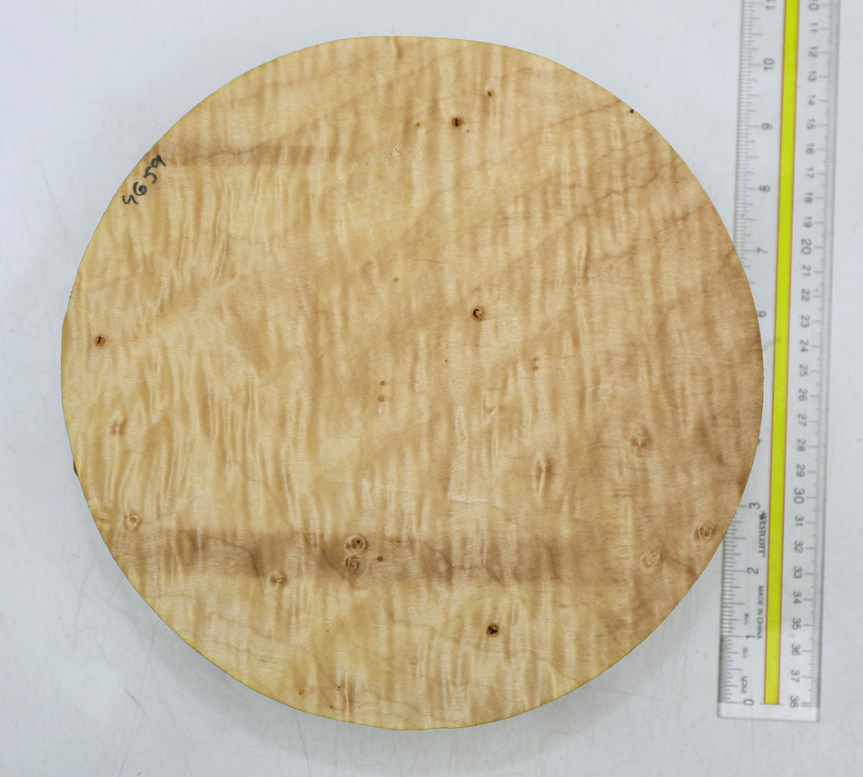 Maple Flame Round 9" diameter x 2.5" (GREAT FIGURE) - Stock# 6-4659