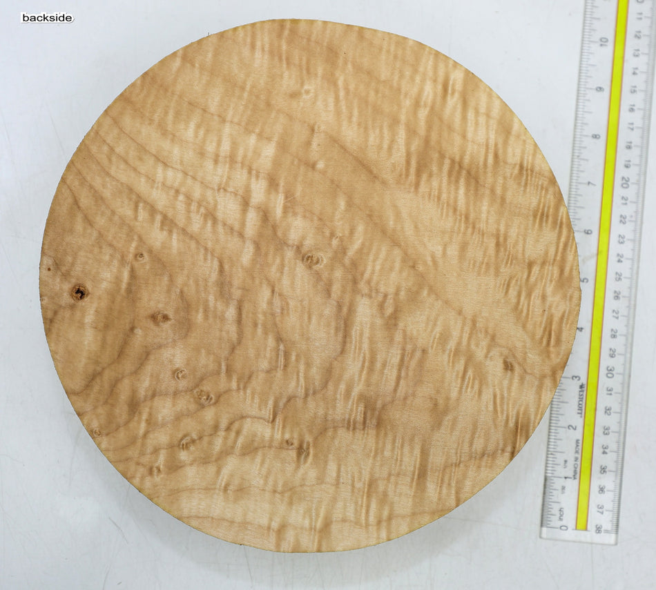 Maple Flame Round 9" diameter x 2.5" (GREAT FIGURE) - Stock# 6-4659
