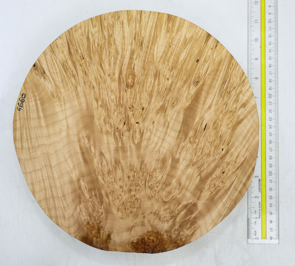 Maple Burl Round 10.5" diameter x 2.6" (GREAT FIGURE) - Stock# 6-4660