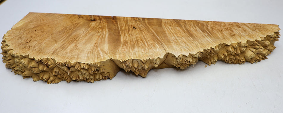 Maple Burl block 25.5" x 8" x 2.8" (HIGH FIGURE) - Stock# 6-4667