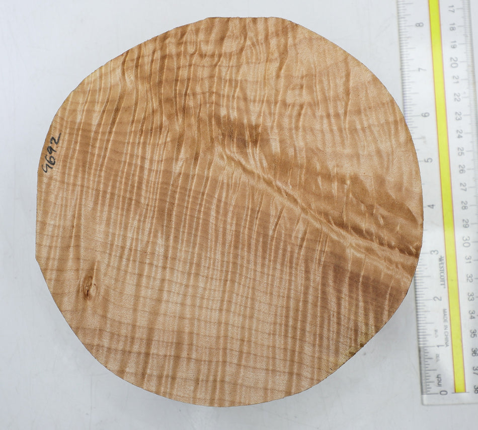 Maple Flame Round 7.25" diameter x 2.3" (HIGH FIGURE) - Stock# 6-4692