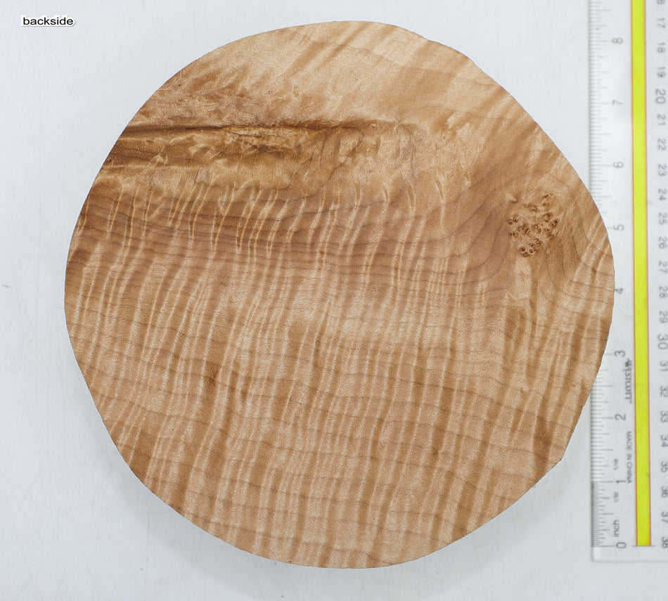 Maple Flame Round 7.25" diameter x 2.3" (HIGH FIGURE) - Stock# 6-4692
