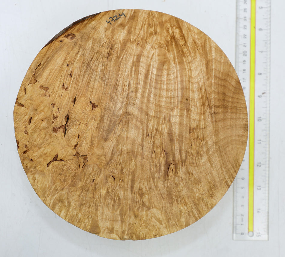 Burl Round 8.5" diameter x 2.5" (GREAT FIGURE) - Stock# 6-4724