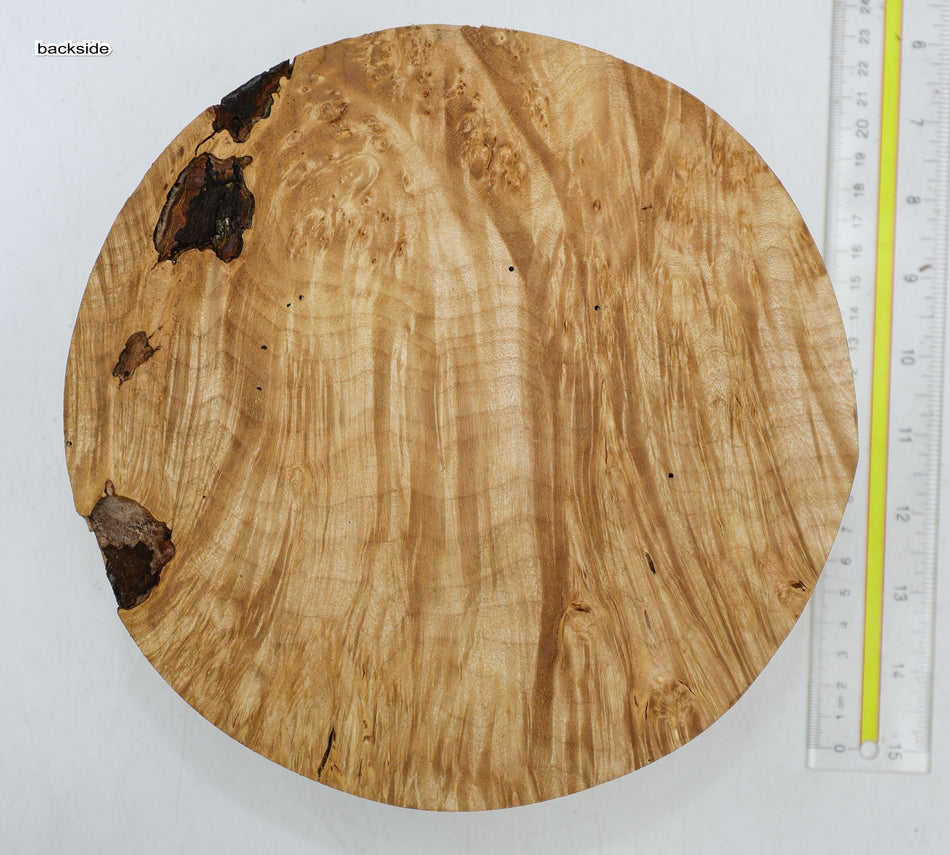 Burl Round 8.5" diameter x 2.5" (GREAT FIGURE) - Stock# 6-4724