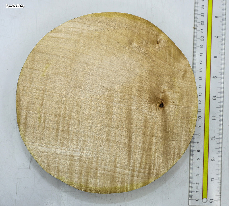 European Sycamore Maple Round 8" diameter x 1.6" - Stock# 6-4756