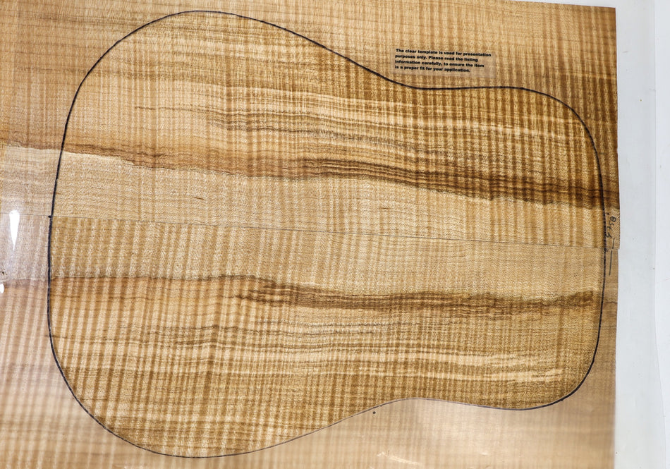 Back & Side set Maple Flame, Dreadnought (HIGH FIGURE 4★) - Stock# 6-4758