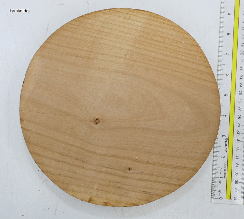 Alder Round 8.5" diameter x 1.9" - Stock# 6-4772