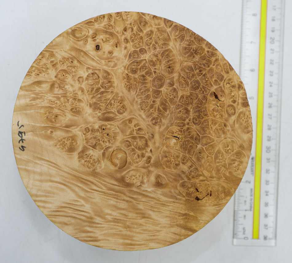 Maple Burl Round 7" diameter x 2.75" (HIGH FIGURE) - Stock# 6-4796