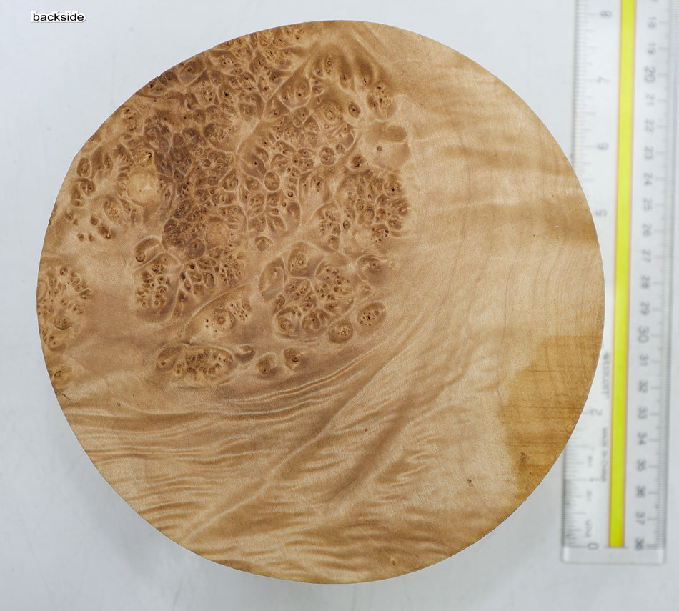 Maple Burl Round 7" diameter x 2.75" (HIGH FIGURE) - Stock# 6-4796