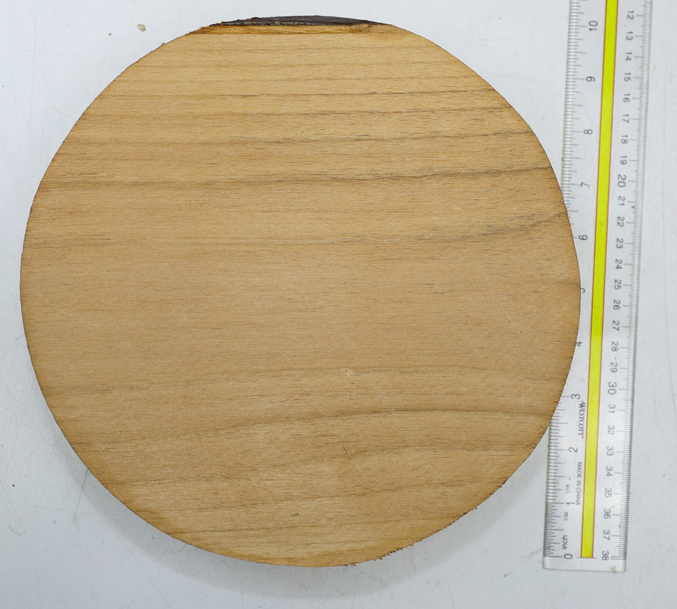Alder Round 9" diameter x 2" - Stock# 6-4807