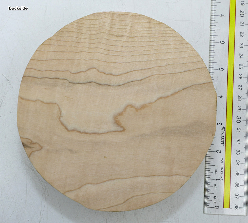 Red Maple Round 6" diameter x 2.1" - Stock# 6-4838