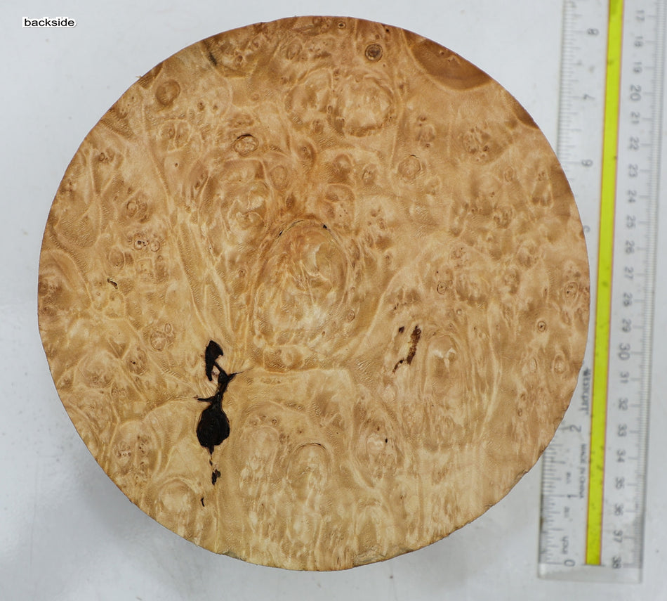 Maple Burl Round 7" diameter x 2.8" (HIGH FIGURE) - Stock# 6-4839