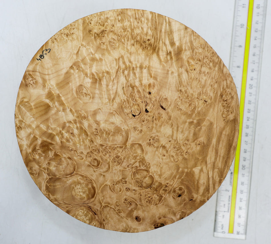 Maple Burl Round 9" diameter x 3.2" (HIGH FIGURE) - Stock# 6-4853