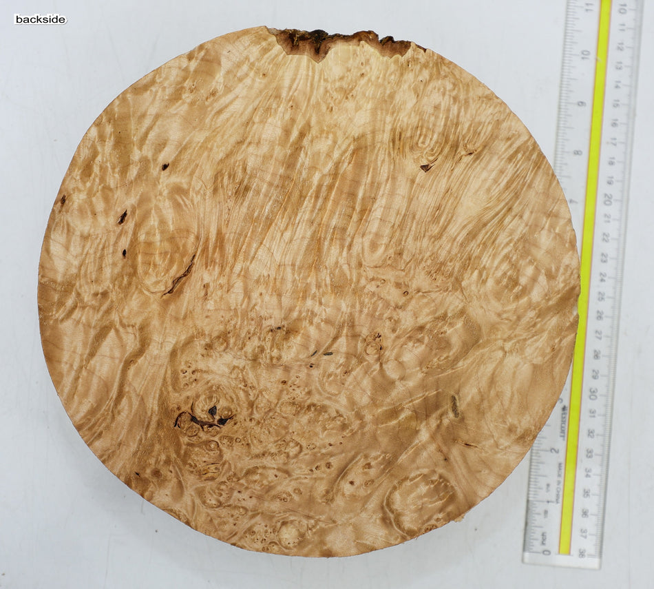 Maple Burl Round 9" diameter x 3.2" (HIGH FIGURE) - Stock# 6-4853
