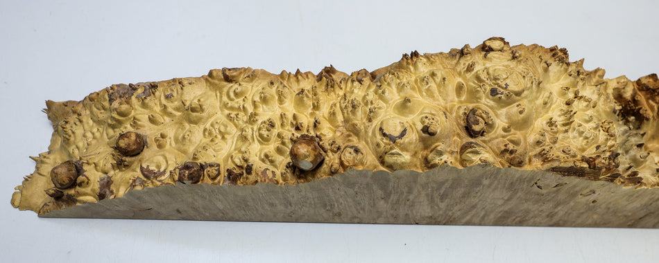 Maple Burl block 29" x 3.5" x 3" (PREMIUM FIGURE) - Stock# 6-4867