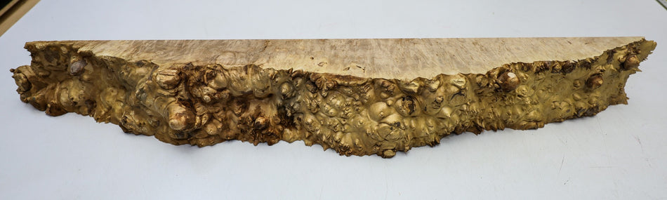 Maple Burl block 29" x 3.5" x 3" (PREMIUM FIGURE) - Stock# 6-4867