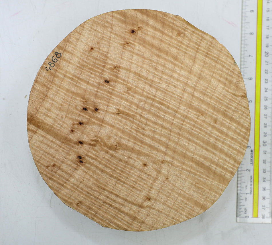 Maple Flame Round 8" diameter x 2.75" - Stock# 6-4868