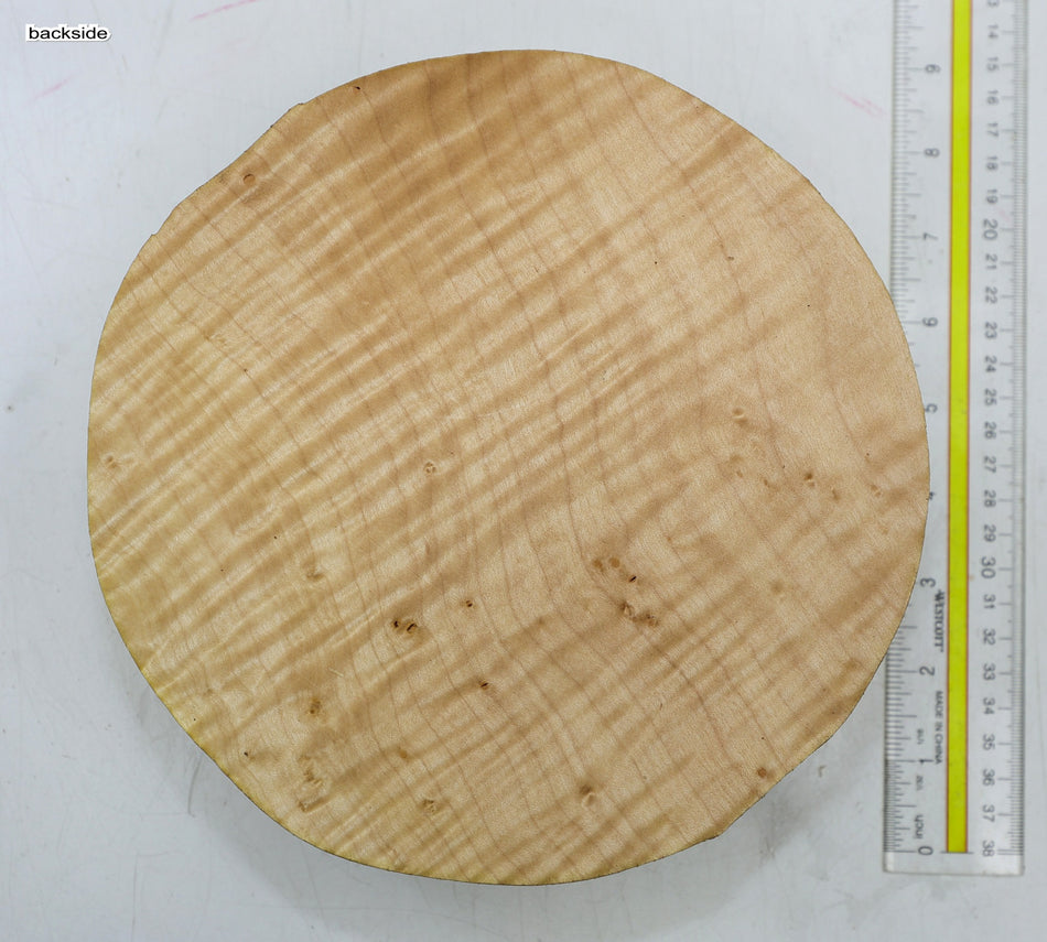 Maple Flame Round 8" diameter x 2.75" - Stock# 6-4868