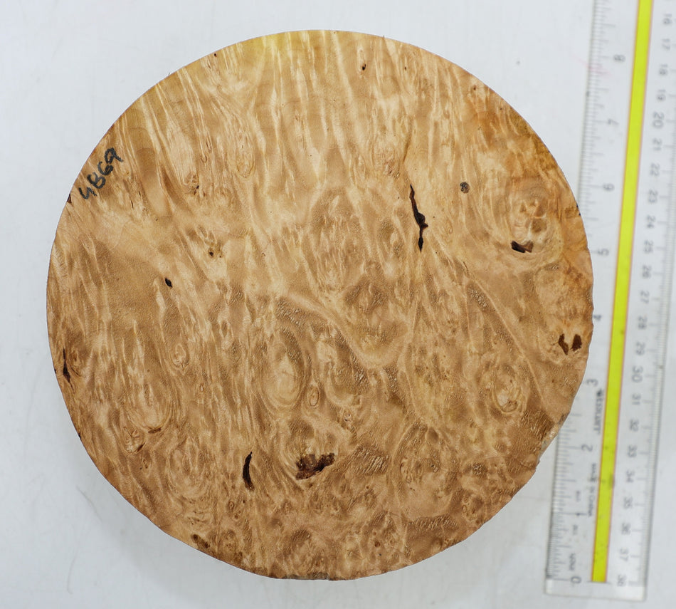 Burl Round 7" diameter x 2.6" (HIGH FIGURE) - Stock# 6-4869