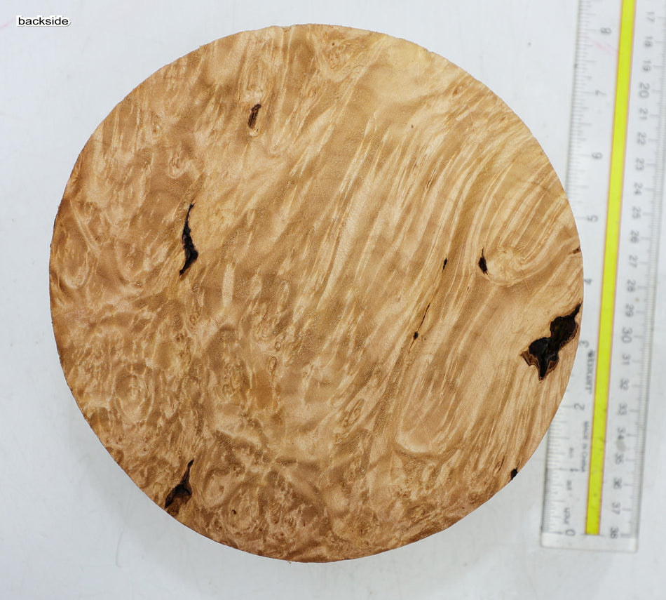 Burl Round 7" diameter x 2.6" (HIGH FIGURE) - Stock# 6-4869