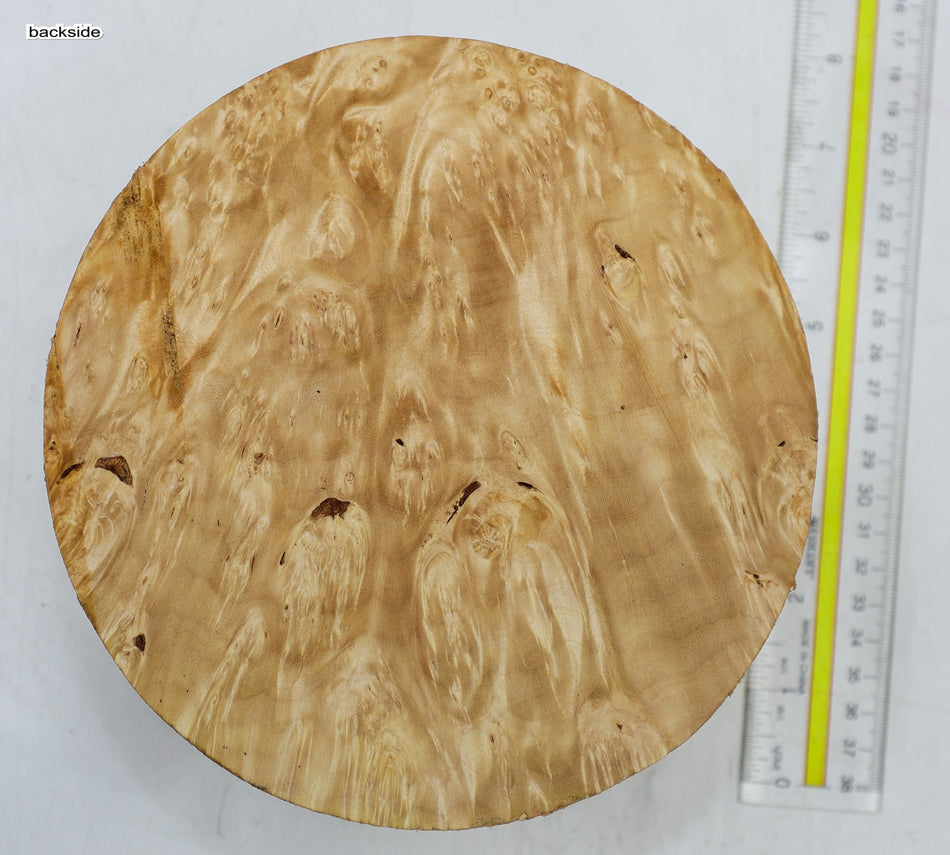 Maple Burl Round 7" diameter x 3.1" (HIGH FIGURE) - Stock# 6-4896