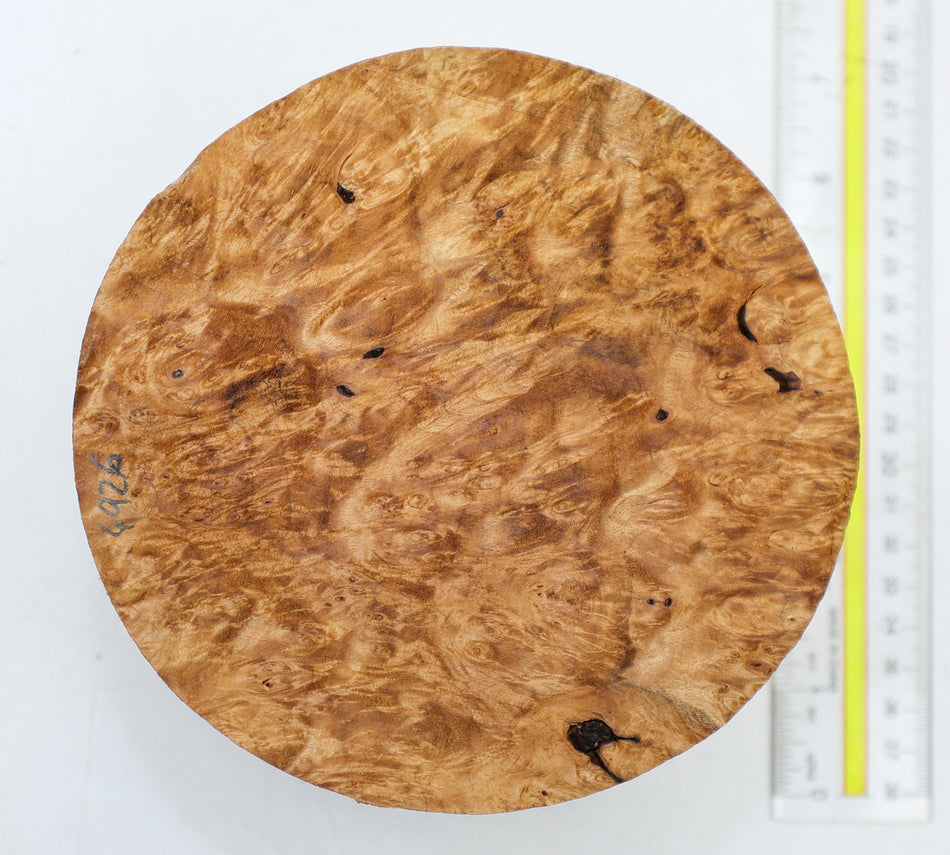 Maple Burl Round 5.75" diameter x 3.2" (HIGH FIGURE) - Stock# 6-4926