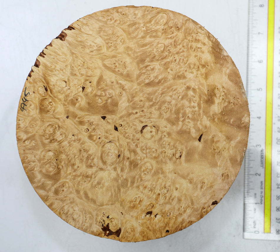 Maple Burl Round 7" diameter x 3.25" (+HIGH FIGURE) - Stock# 6-4945