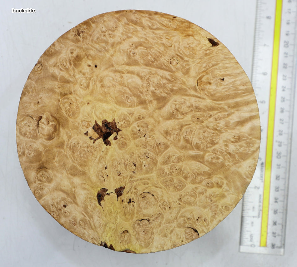 Maple Burl Round 7" diameter x 3.25" (+HIGH FIGURE) - Stock# 6-4945