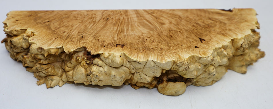 Maple Burl block 12" x 5" x 2" (PREMIUM FIGURE) - Stock# 6-4946