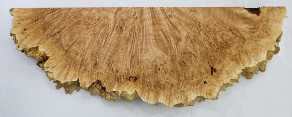Maple Burl block 12" x 5" x 2" (PREMIUM FIGURE) - Stock# 6-4946
