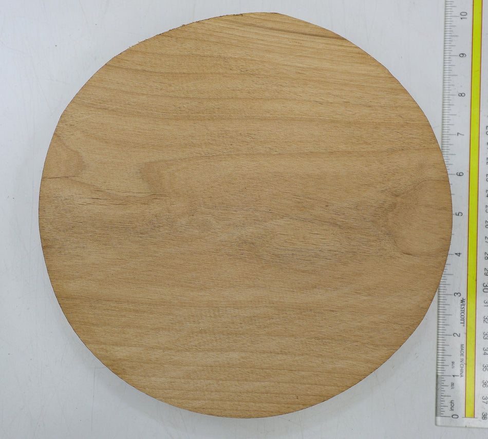 Alder Round 9" diameter x 1.9" - Stock# 6-4963