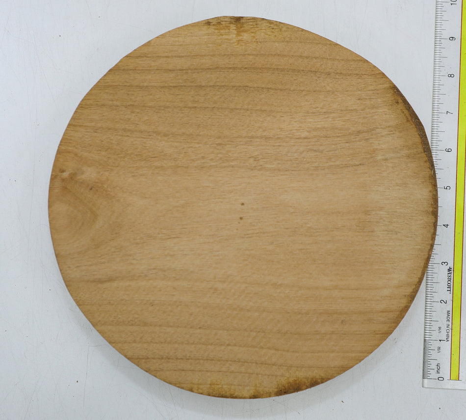 Alder Round 9" diameter x 1.9" - Stock# 6-4963