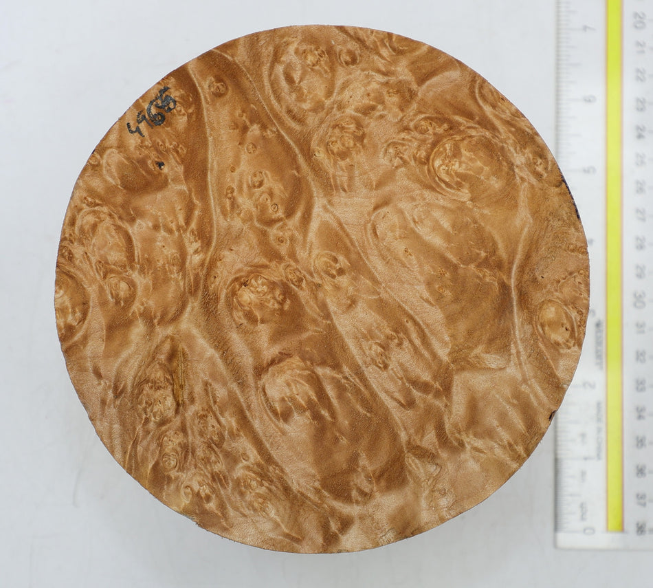 Maple Burl Round 6" diameter x 3.25" (PREMIUM FIGURE) - Stock# 6-4965