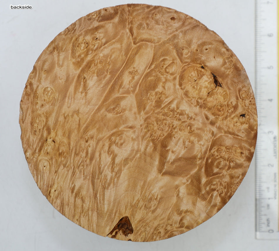 Maple Burl Round 6" diameter x 3.25" (PREMIUM FIGURE) - Stock# 6-4965